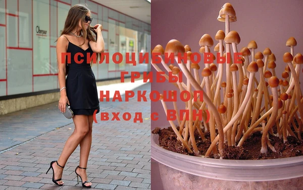 прущий лед Остров