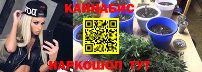 мдпв Малгобек