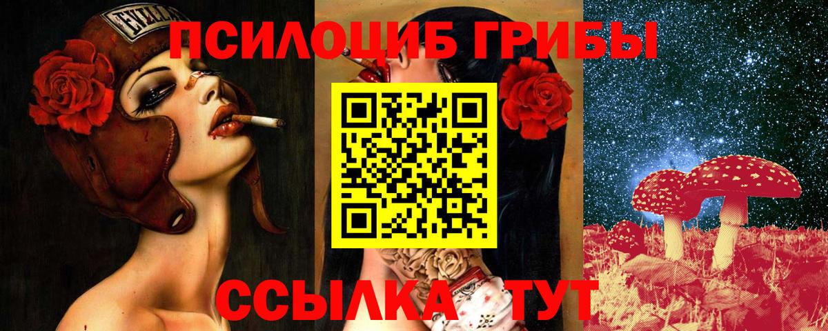 Галлюциногенные грибы Psilocybe Бердск