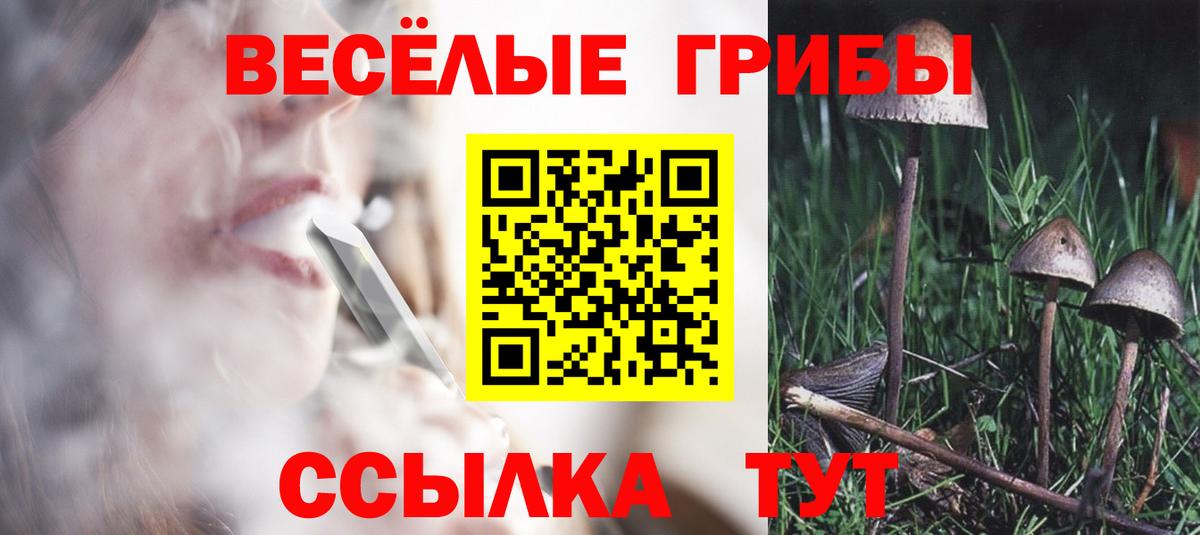 Бердск  Галлюциногенные грибы Psilocybe  Вход с VPN  Галлюциногенные грибы мицелий 
